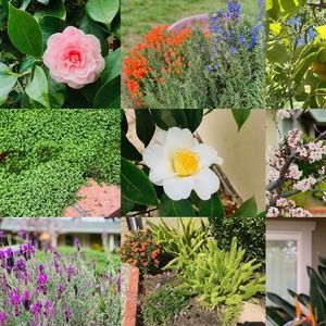 Meet your Posher, Joanna